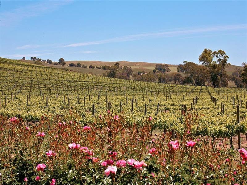 Lot 7 O.Herbigs Road, Springton SA 5235