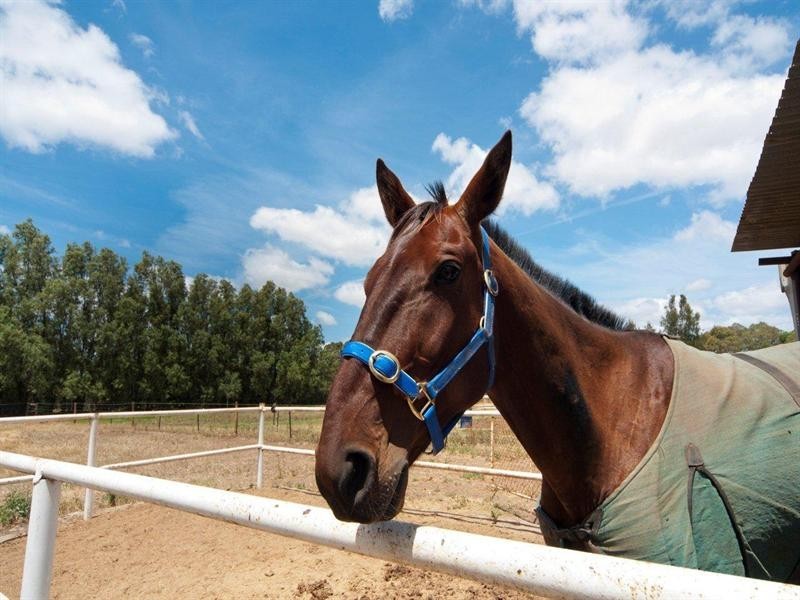 Lot 102 Roberts Road, Lewiston SA 5501