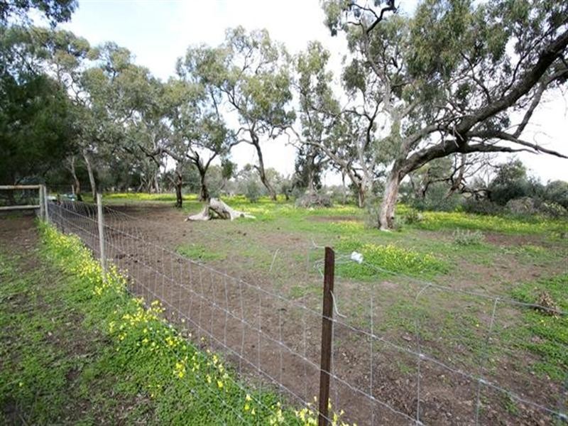 92 Gawler Road, Lewiston SA 5501