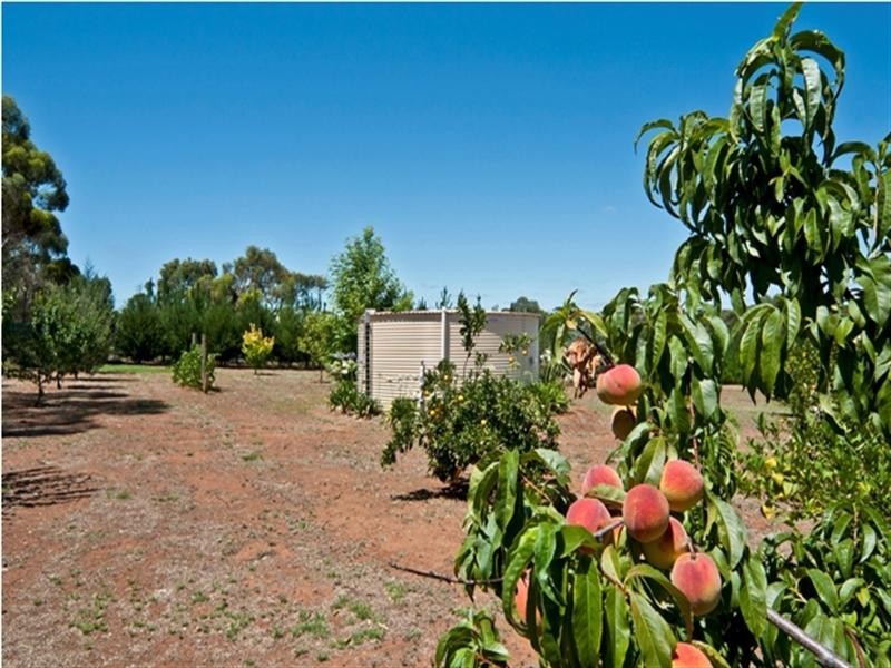 Lot 52 Meadow Road, Kalbeeba SA 5118