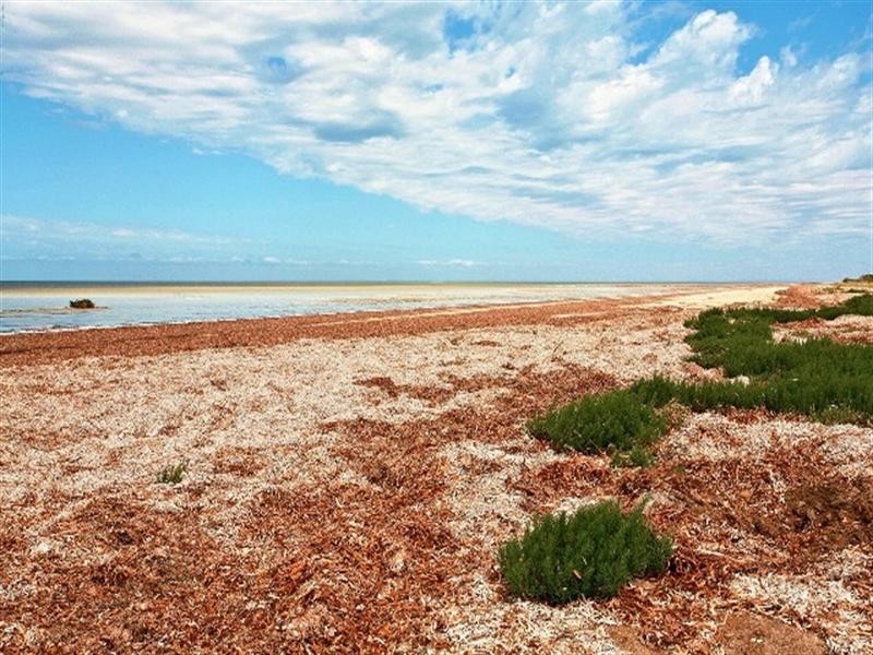 5 Stint Avenue, Thompson Beach SA 5501