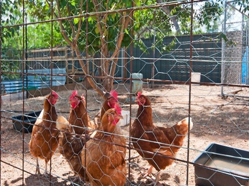 17 Hemaford Grove, Gawler East SA 5118