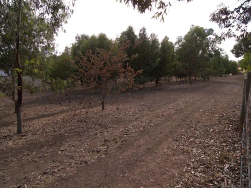 Lot 22 Warner Court, Sandy Creek SA 5350
