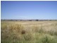 193 Mattiske Street, Freeling SA 5372