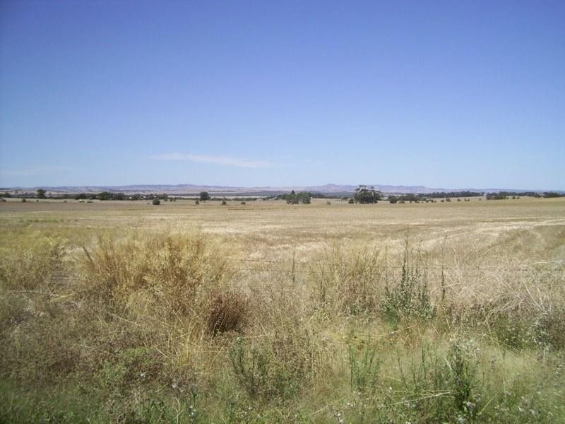 193 Mattiske Street, Freeling SA 5372