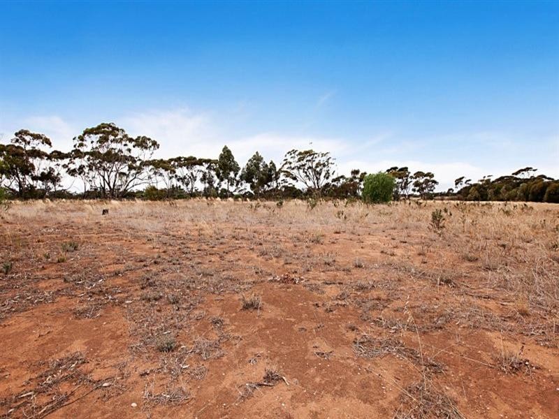 Lot 1 Hancock Road, Owen SA 5460
