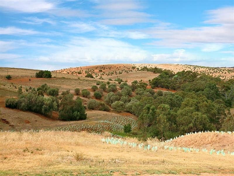 21 Pile Street, Gawler East SA 5118