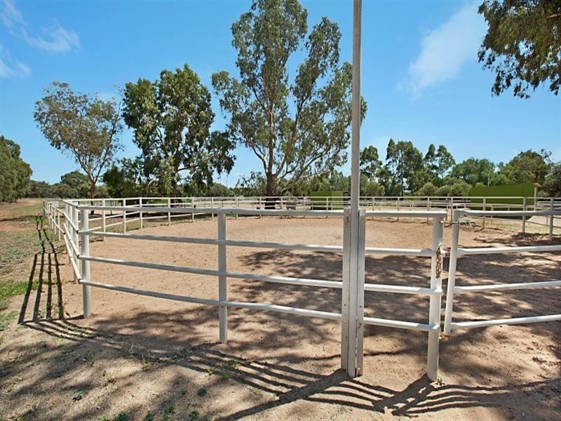 8 Badman Street, Evanston Gardens SA 5116