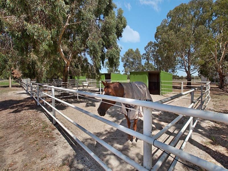 8 Badman Street, Evanston Gardens SA 5116