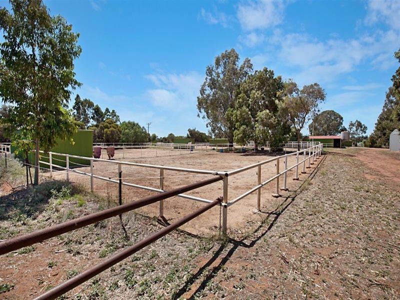 8 Badman Street, Evanston Gardens SA 5116