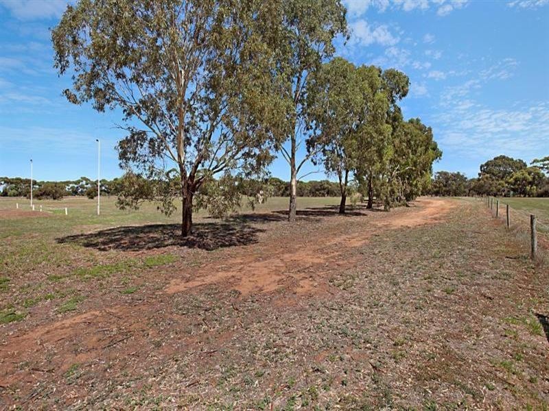 8 Badman Street, Evanston Gardens SA 5116