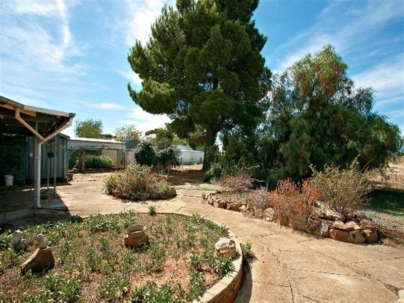 47 Gray Street, Freeling SA 5372