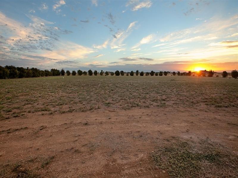 43 Schlodder Road Dublin VIA, Two Wells SA 5501