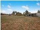 81 Old Mallala Road, Owen SA 5460
