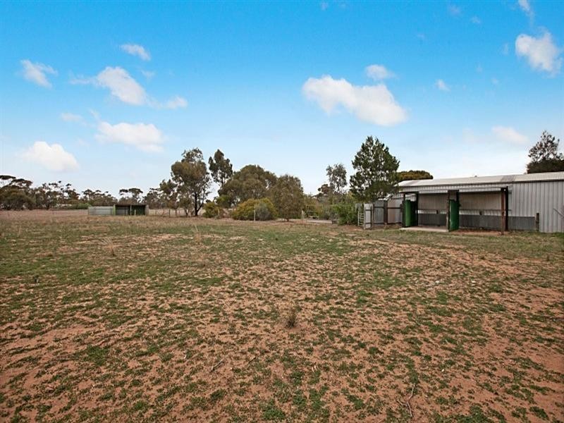 81 Old Mallala Road, Owen SA 5460