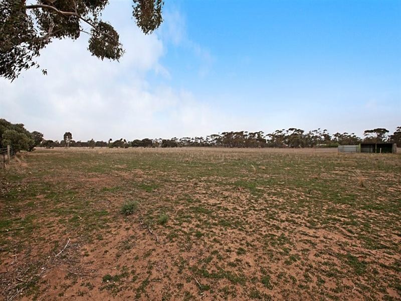 81 Old Mallala Road, Owen SA 5460