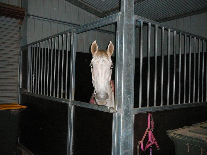 Sec 169 Ruskin Road, Dublin SA 5501