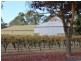 Lot 1 and 2 Lyndoch Valley Road, Lyndoch SA 5351