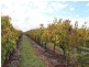 Lot 2 Lyndoch Valley Road, Lyndoch SA 5351