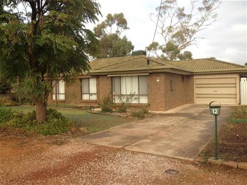 12 Theodore Street, Evanston Park SA 5116