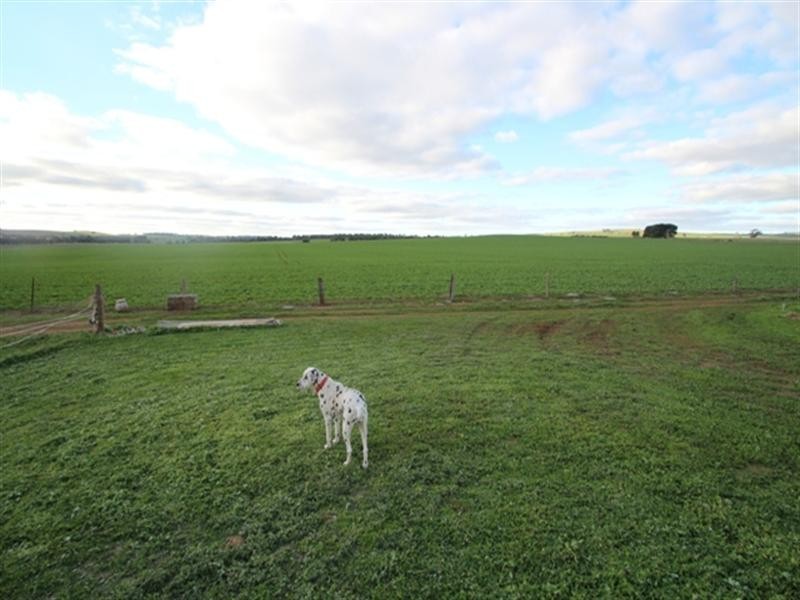 Lot 4 Marrabel Road, Riverton SA 5412