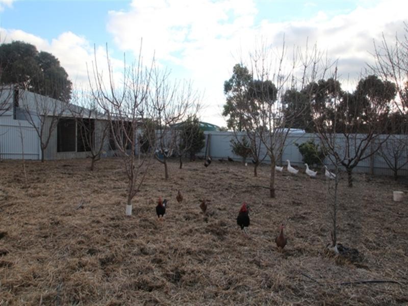 Lot 4 Marrabel Road, Riverton SA 5412