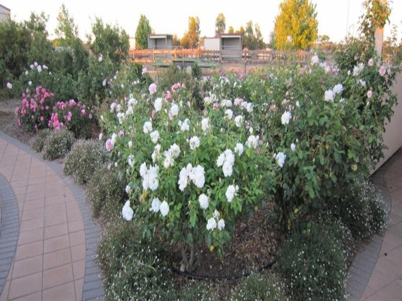 Lot 31 Clancy Road, Gawler Belt SA 5118