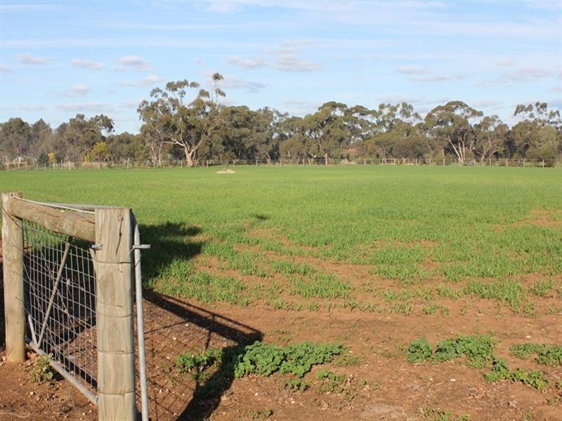 Lot 31 Clancy Road, Gawler Belt SA 5118