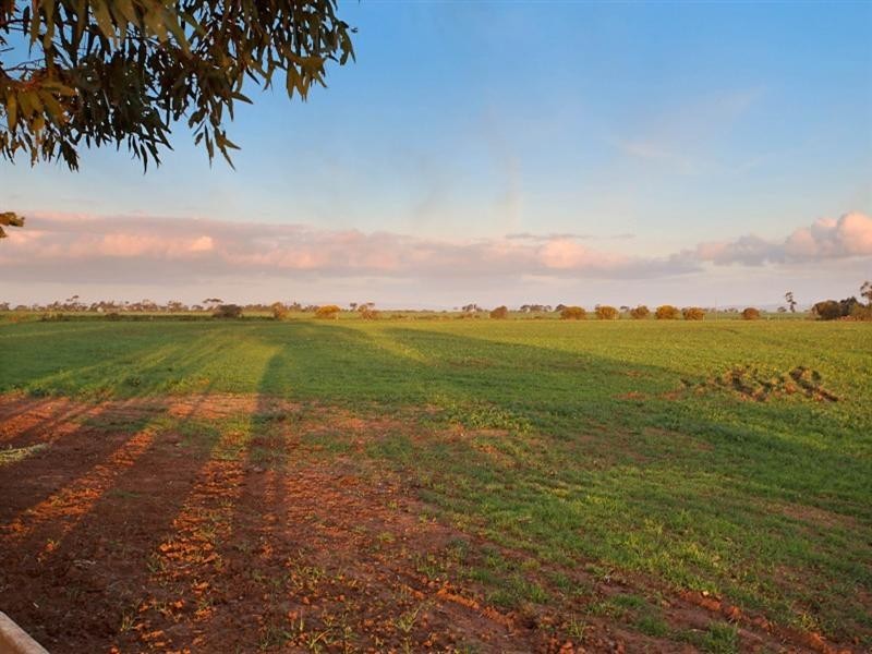 1020 Verner Road, Reeves Plains SA 5502