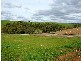 Lot 82 Swallow Drive, Hewett SA 5118