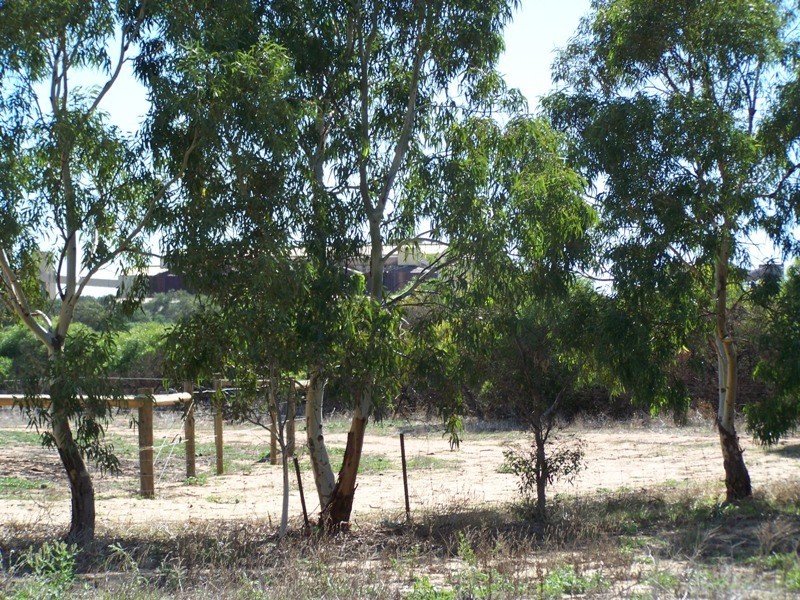 Lot 48 Rudds Gully Road, Narngulu WA 6532