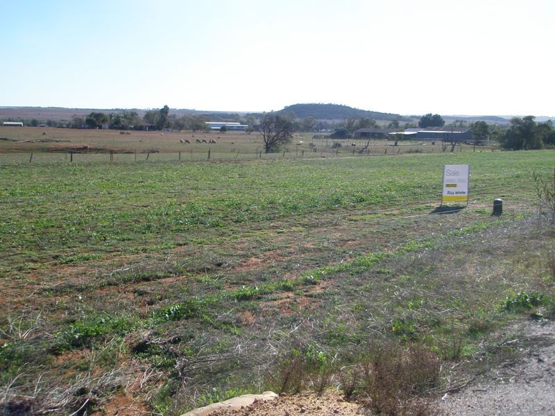 33 Green Street, Nabawa WA 6532