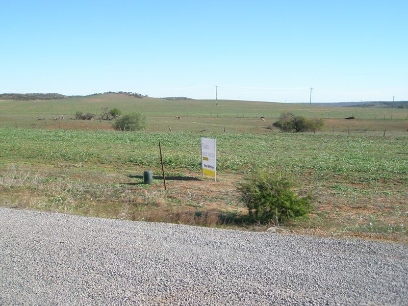33 Green Street, Nabawa WA 6532