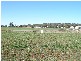 33 Green Street, Nabawa WA 6532