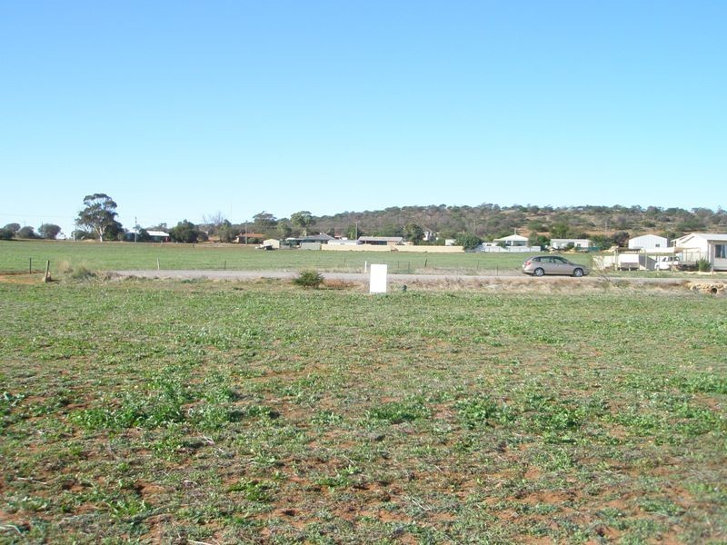33 Green Street, Nabawa WA 6532