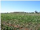 33 Green Street, Nabawa WA 6532