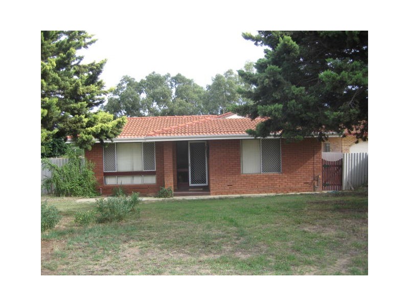 40 Hamersley Street, Spalding WA 6530