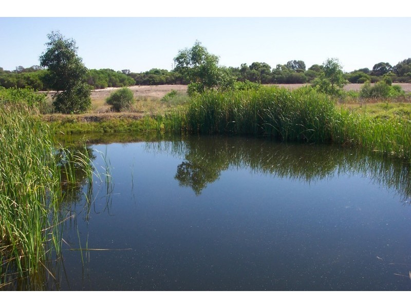 1062 Allanooka Springs Road, Walkaway WA 6528