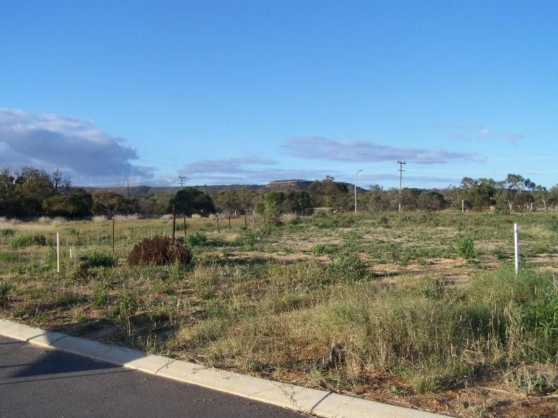 14 Pirrotina Link, Waggrakine WA 6530