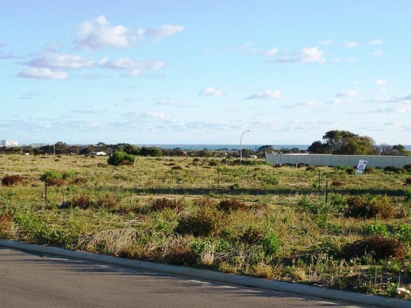 14 Pirrotina Link, Waggrakine WA 6530