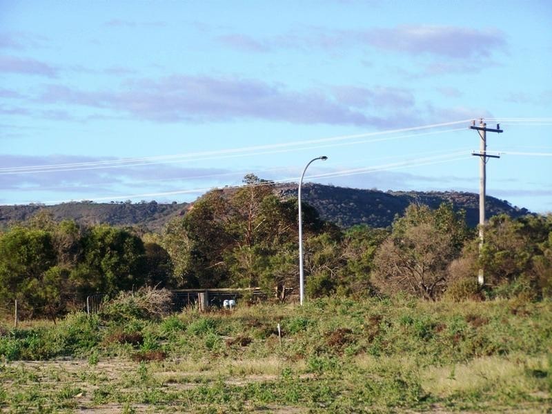 14 Pirrotina Link, Waggrakine WA 6530