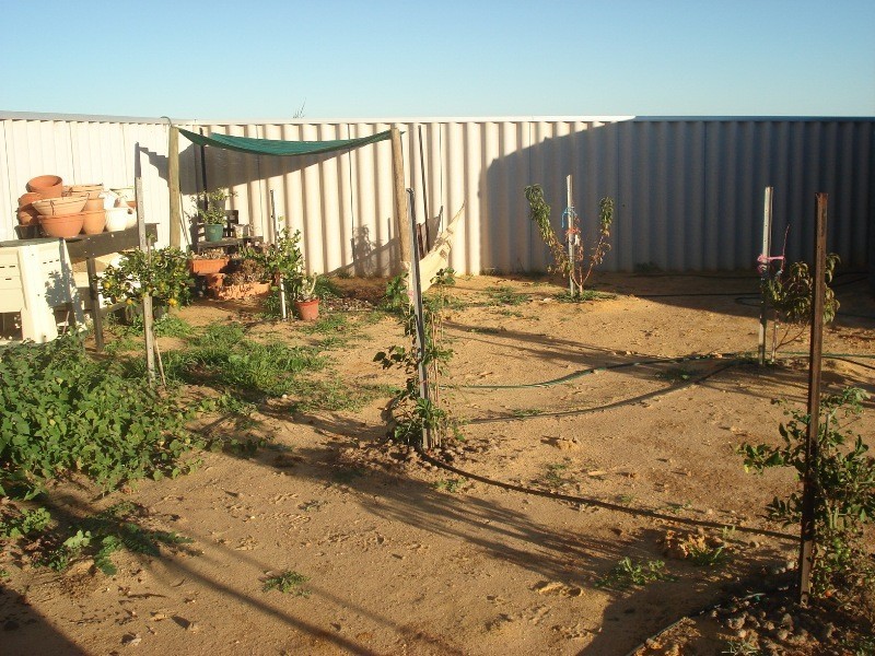 52 Dolby Drive, Waggrakine WA 6530