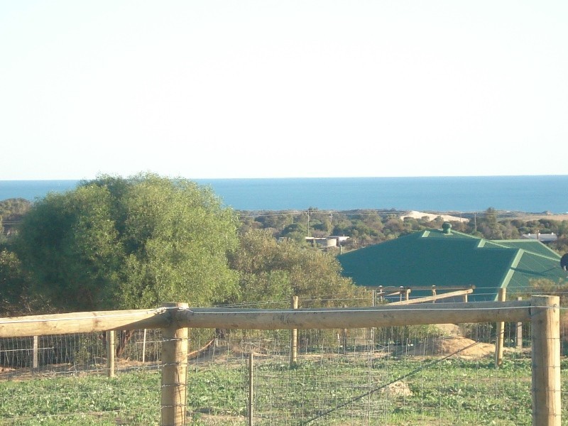 52 Dolby Drive, Waggrakine WA 6530