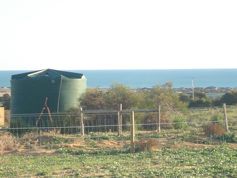 52 Dolby Drive, Waggrakine WA 6530