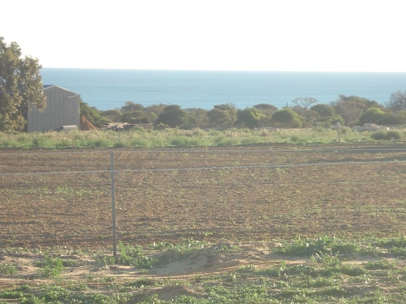 52 Dolby Drive, Waggrakine WA 6530