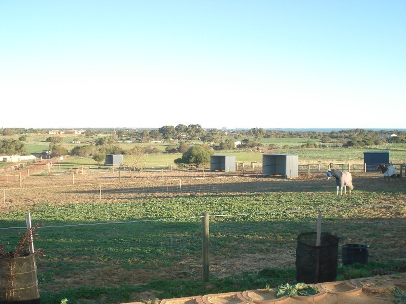 52 Dolby Drive, Waggrakine WA 6530