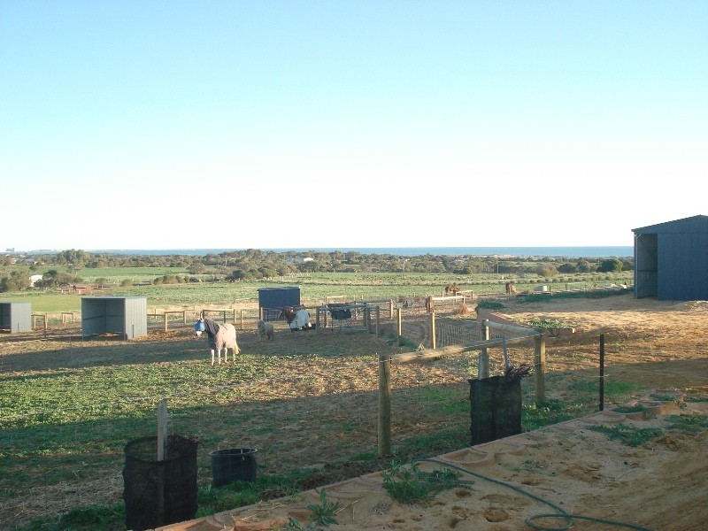 52 Dolby Drive, Waggrakine WA 6530