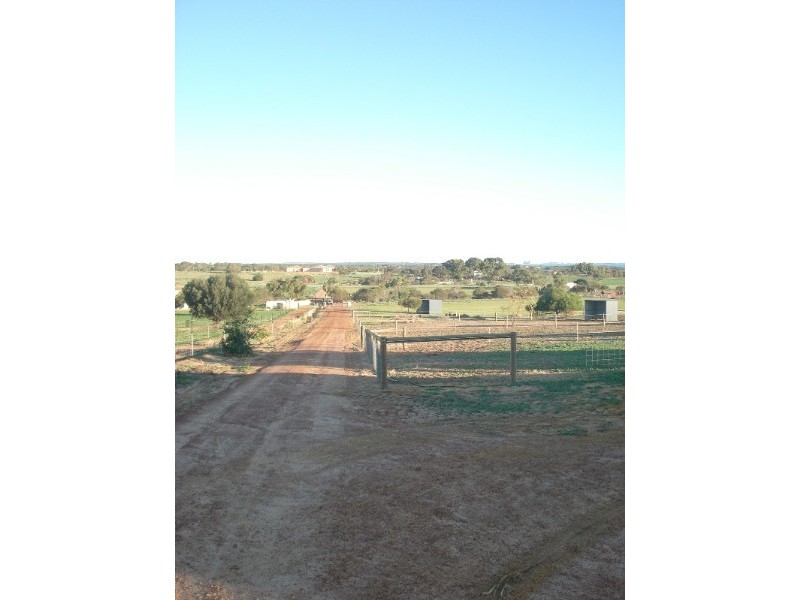 52 Dolby Drive, Waggrakine WA 6530