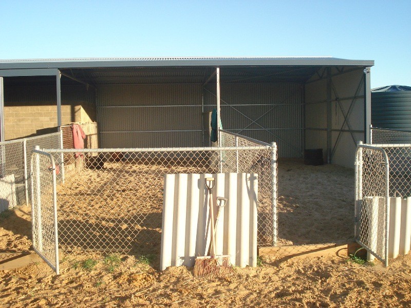 52 Dolby Drive, Waggrakine WA 6530