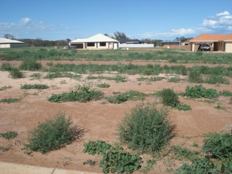 19 Andrew Close, Waggrakine WA 6530